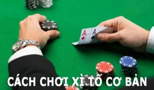 Khám Phá Xì Tố Tại Miso88: Trò Chơi Đầy Kịch Tính