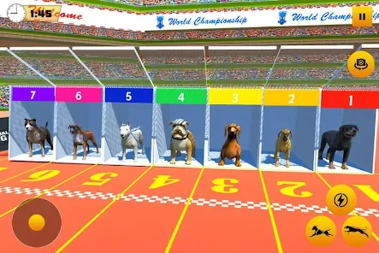 Cách Chơi Game Nhanh Đua Chó Tại Miso88 Dễ Thắng Trong Vài Phút